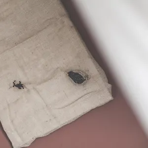 Bio Hotel